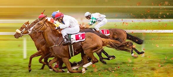 Horse Racing